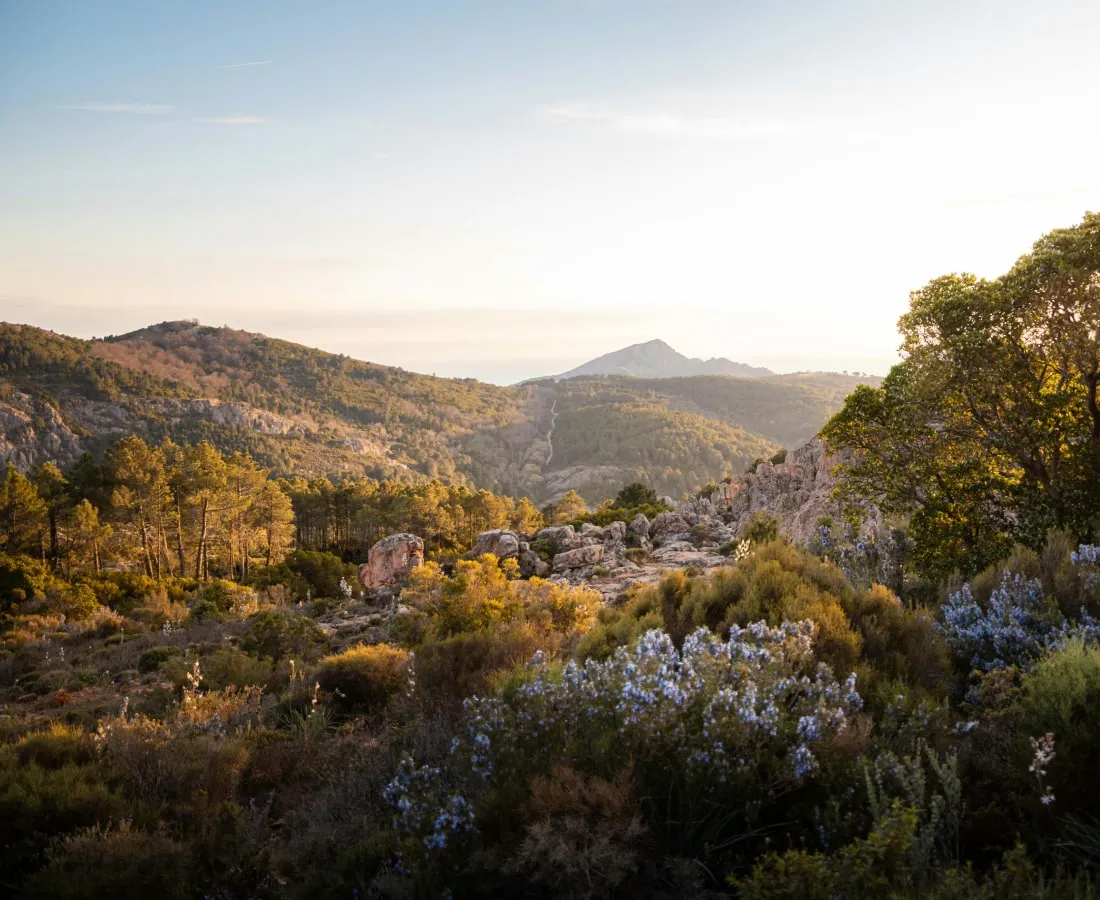 Monte Cinto