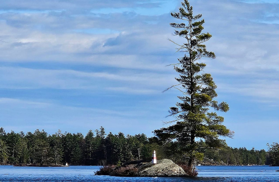 President’s Update Spring 2026