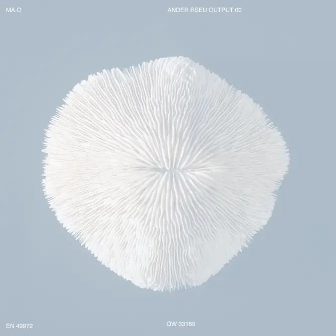 Common | A digital design studio driven by research & strategy | Branding, Art-direction