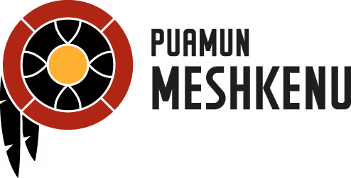 12 Festival - Collaborateur - Puamun Meshkenu