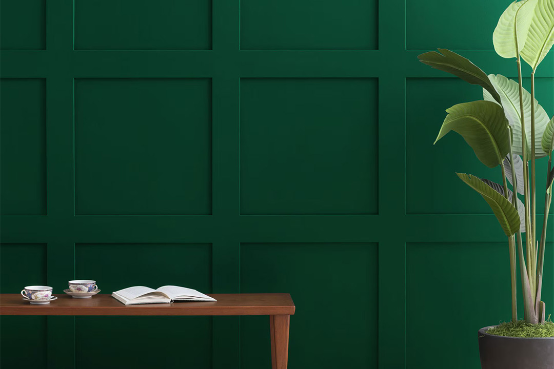 Accent paint - standard office finishes