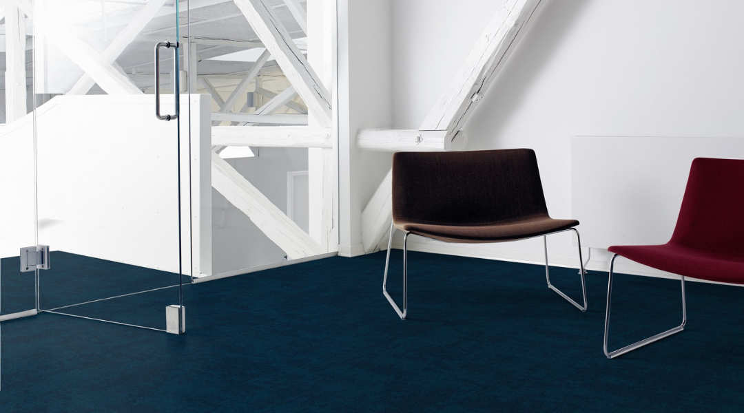 Momentum blue carpet