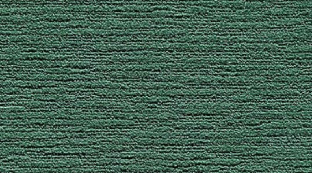 Momentum accent carpet 