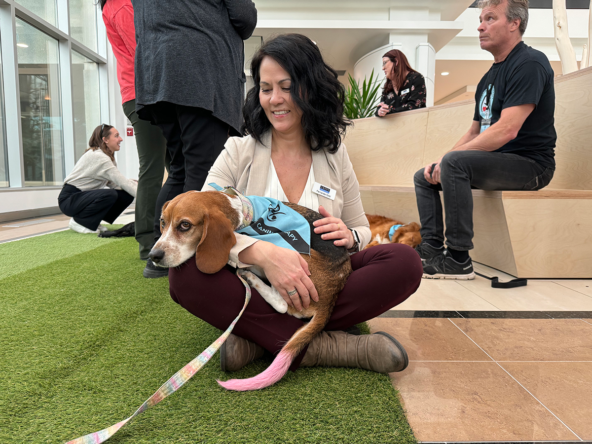 Therapy Dogs Image
