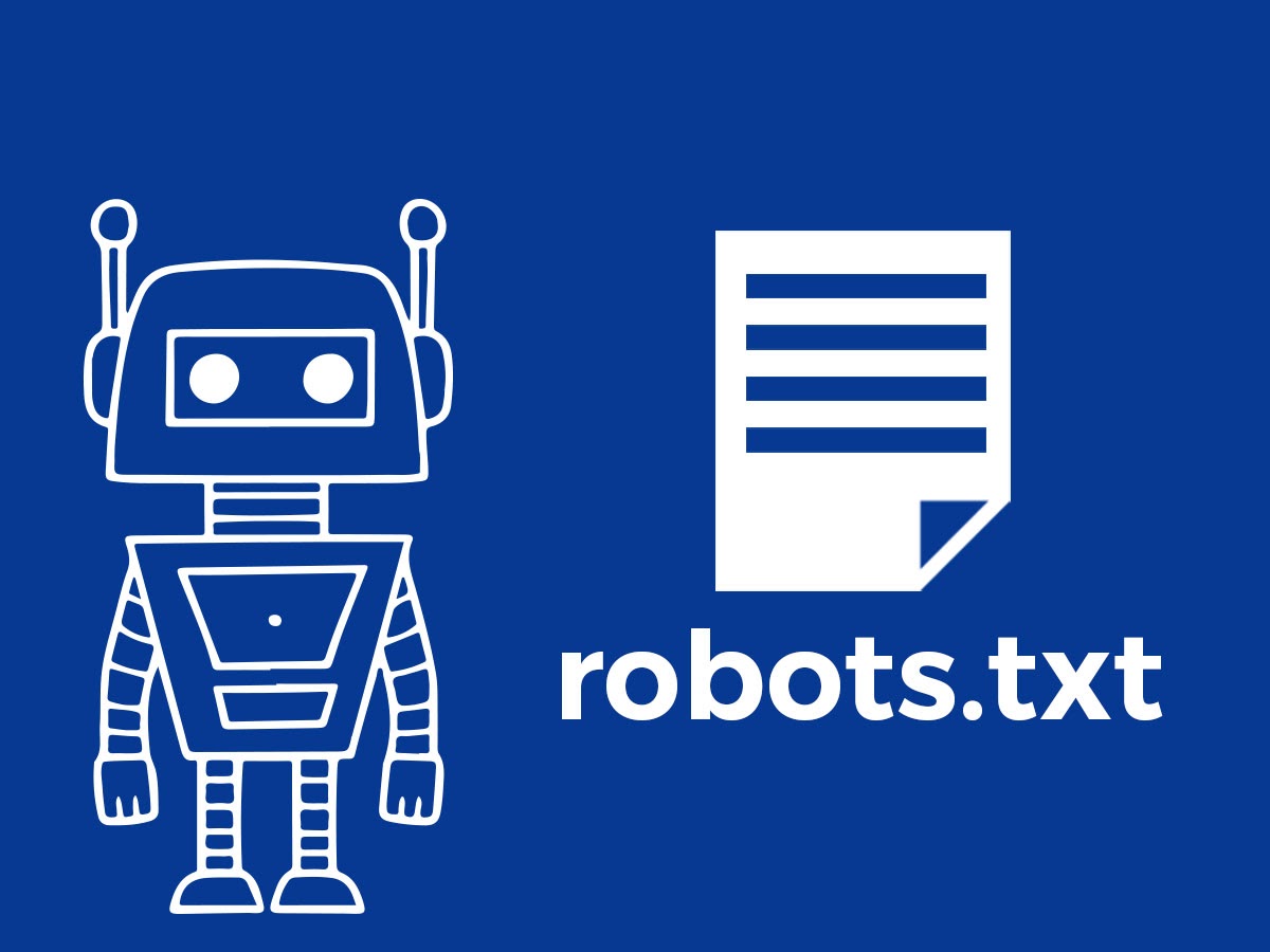 Robots txt file