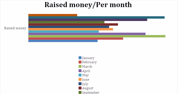 Kickstarter Campaigns Monthly Raised