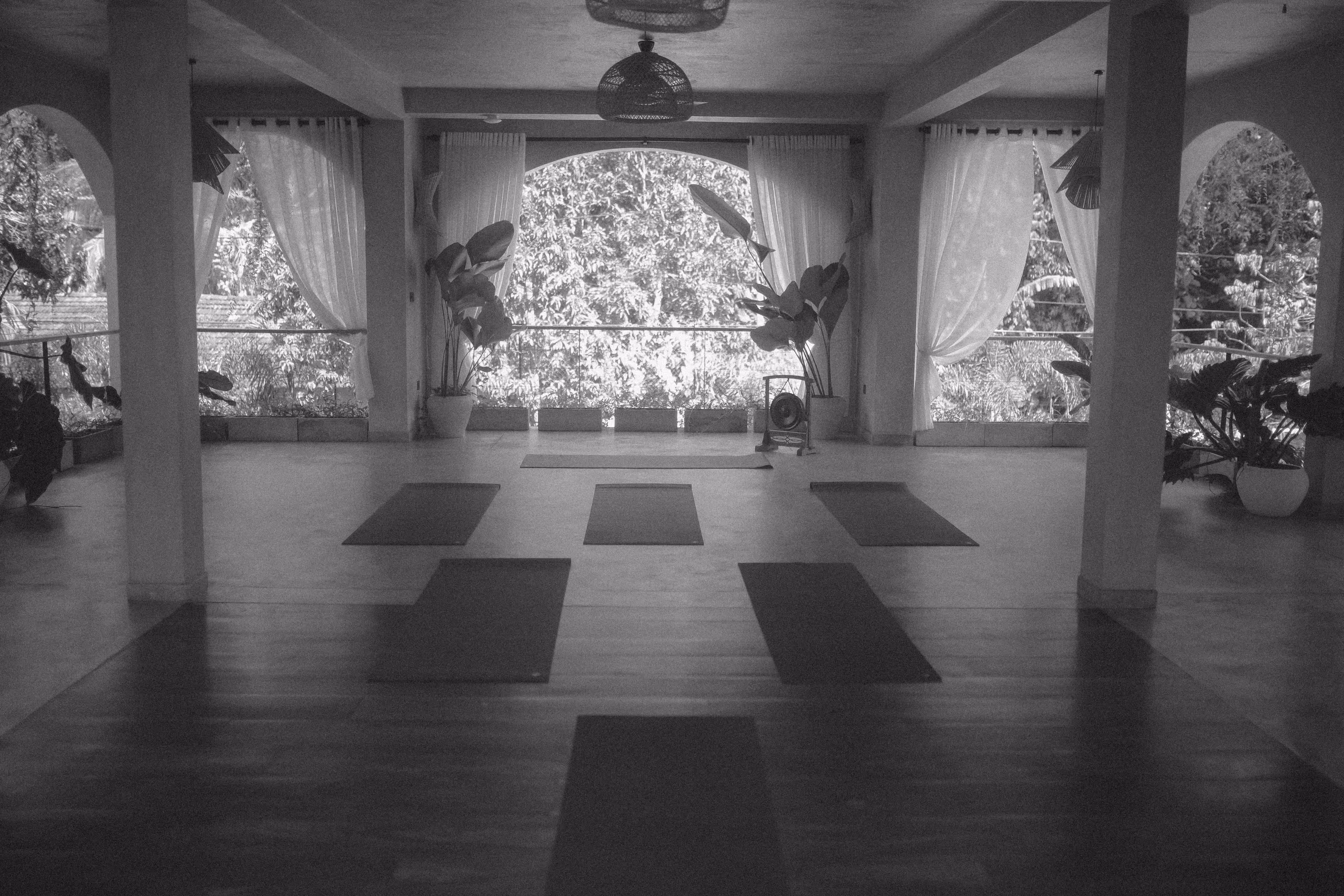 Leerer Yogaraum mit Yogamatten und Pflanzen vor großen Fenstern mit Vorhängen.