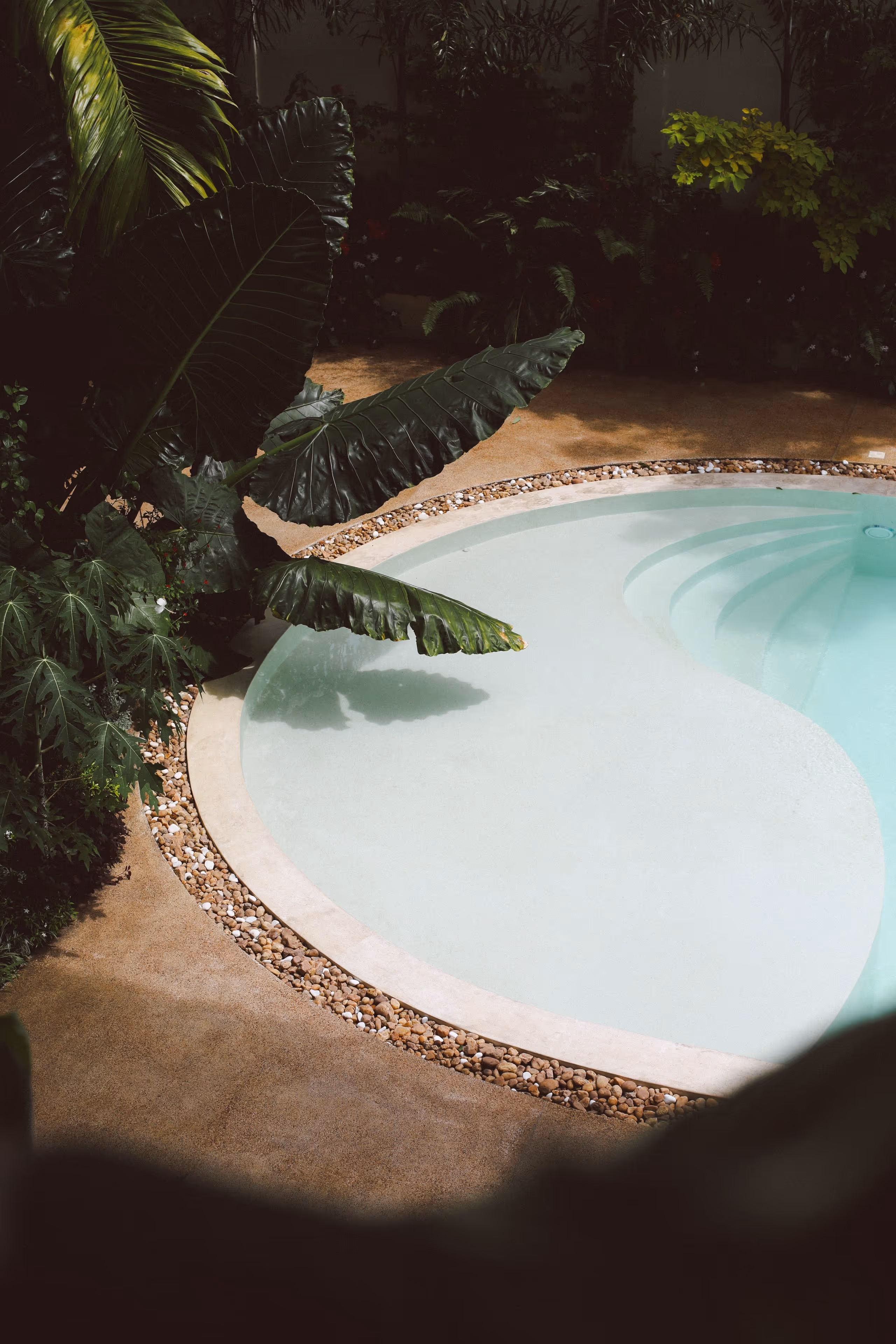 Runder Pool mit Treppen, umgeben von großen grünen Blättern und Steinen im Garten.