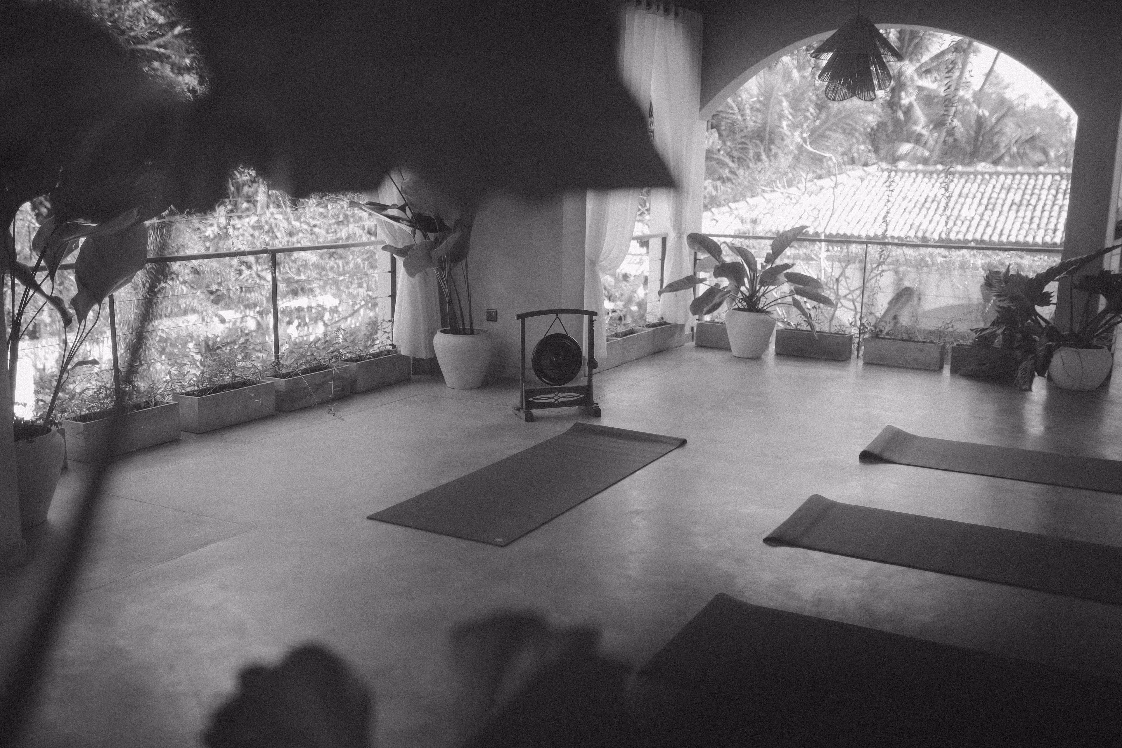 Yoga mats laid out in a peaceful room with plants, a gong, and open view to greenery outside.
