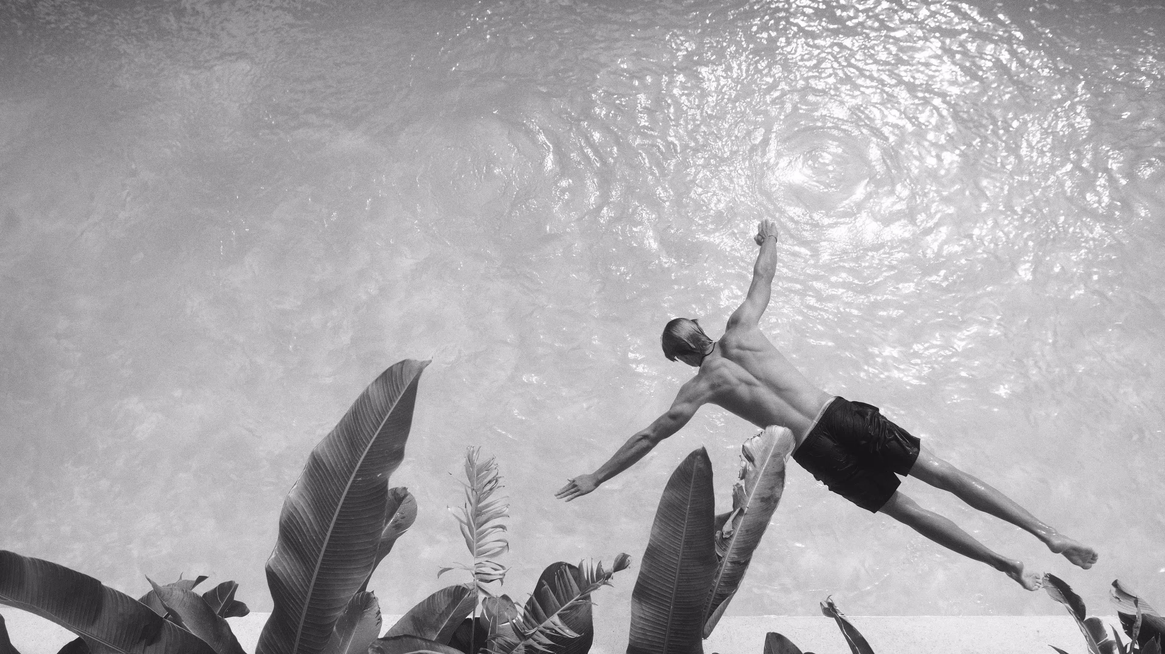 Mann im schwarzen Badeanzug taucht kopfüber in einen Pool mit tropischen Blättern am Rand.