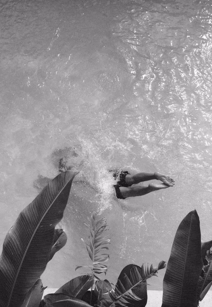 Person diving into a pool, surrounded by large tropical leaves at the pool edge.