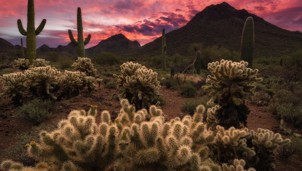 About Landtamers Landscaping