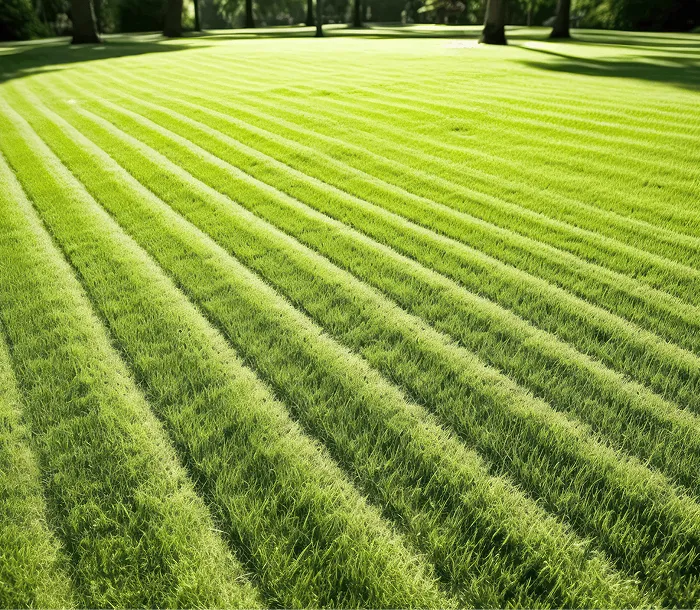 About Landtamers Landscaping