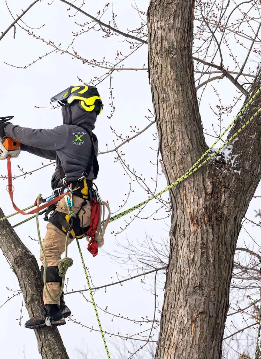 About Landtamers Landscaping