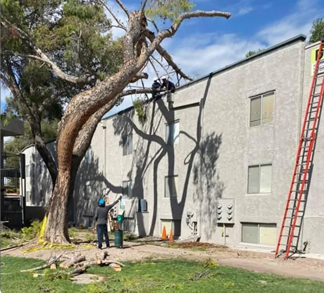 About Landtamers Landscaping