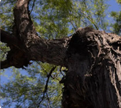 About Landtamers Landscaping