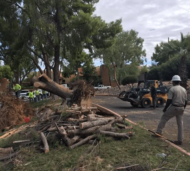 About Landtamers Landscaping