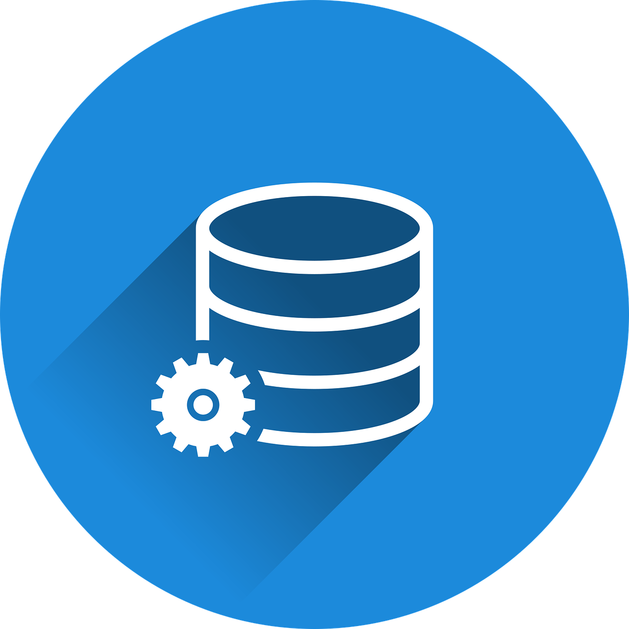 Master Data Management: Top Tips to Become a Data Ninja