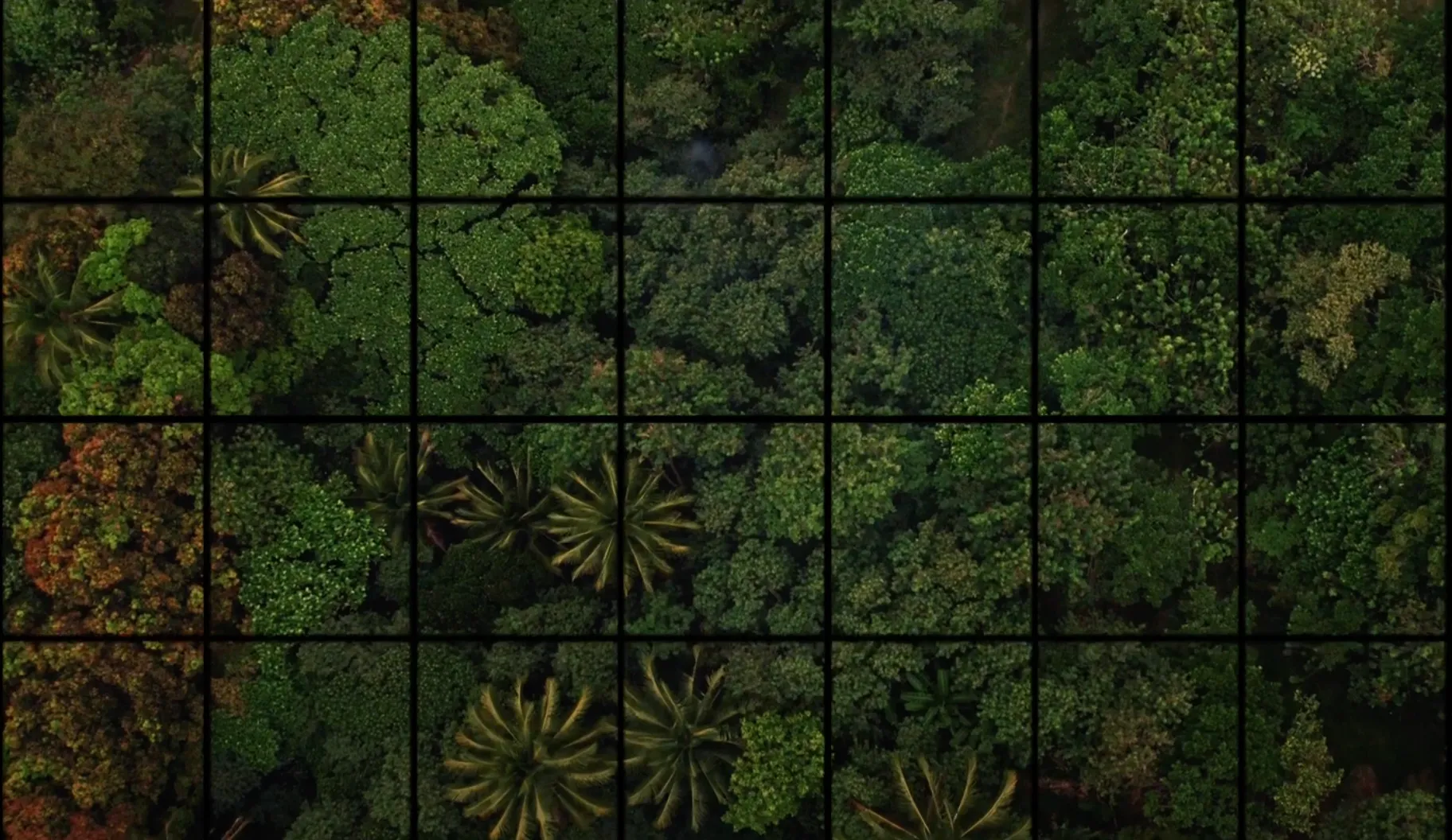 Native Squared Grid System Thumbnail