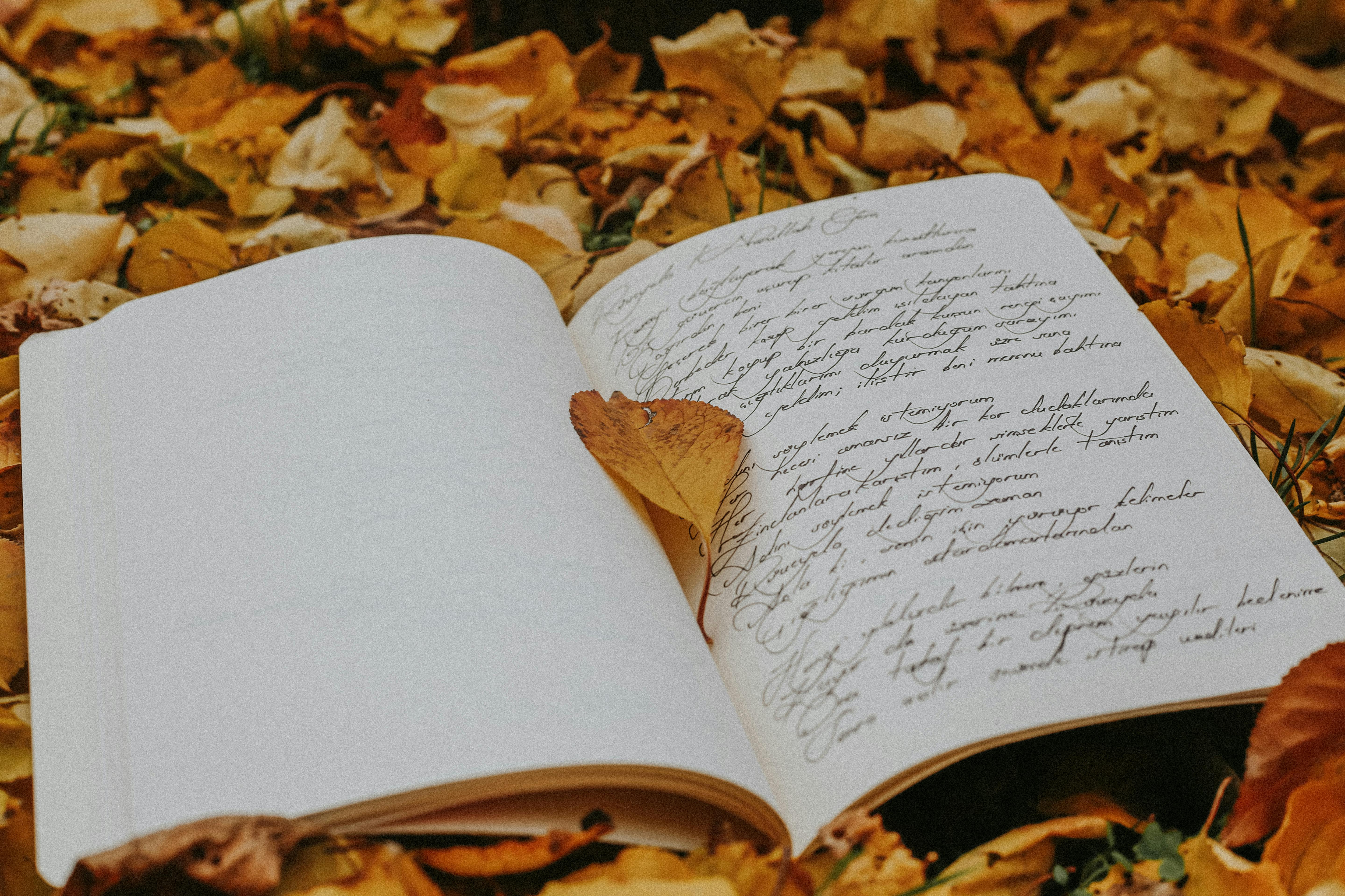 A journal in a natural setting, representing different aspects of inspiration.
