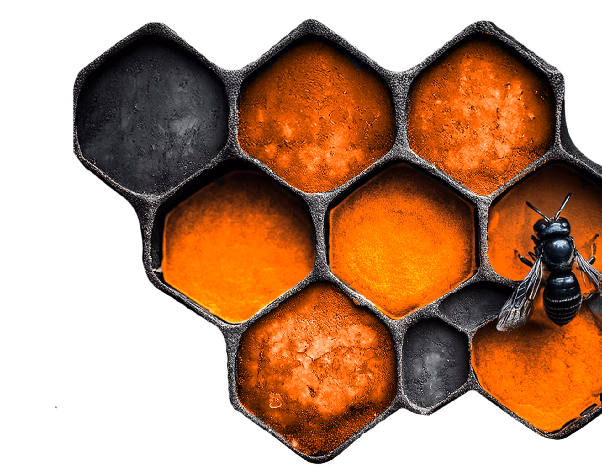 an image showing a beehive, which is similar to how Nova Niche as a marketing agency offering solutions work together as one strong team