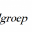 Ems uitzendgroep