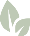 Groendakspecialist (groendak en daktuin)