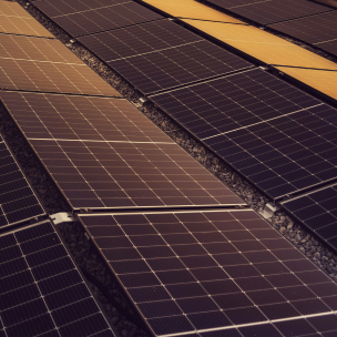 farm solar panel company
