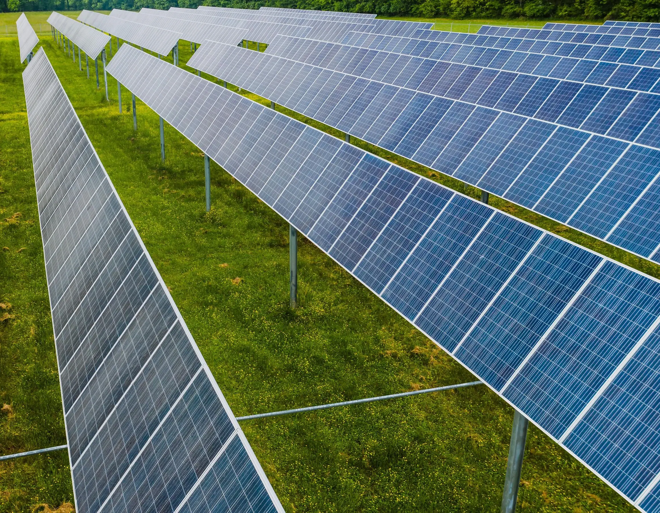 Rows of solar panels.
