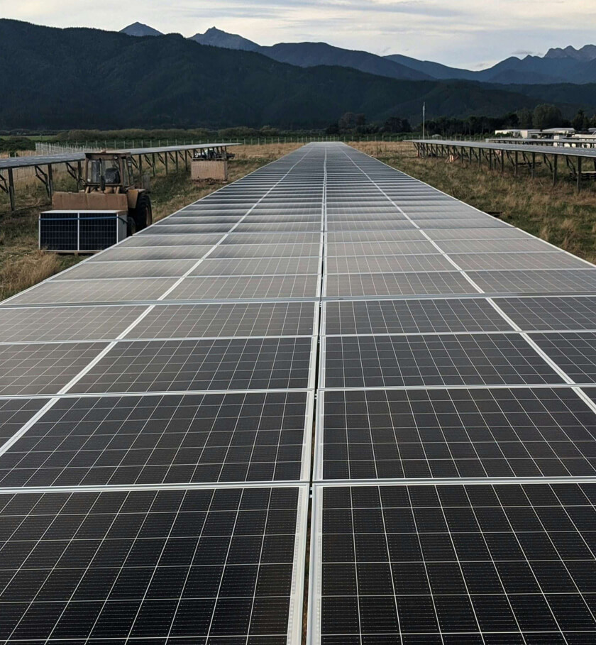 solar panels for business