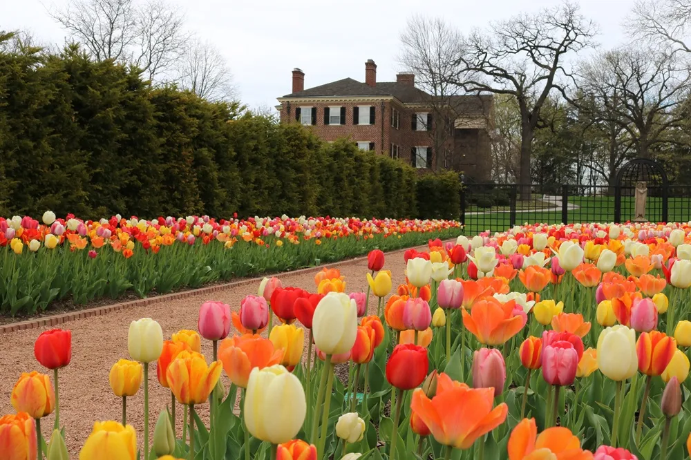 Cantigny Park