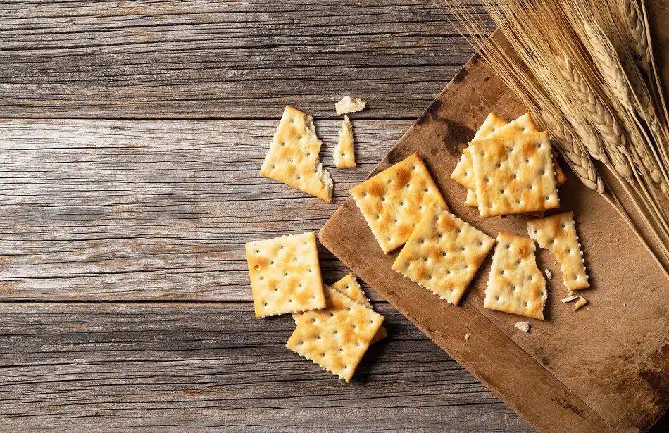 snacks to take on a bus trip