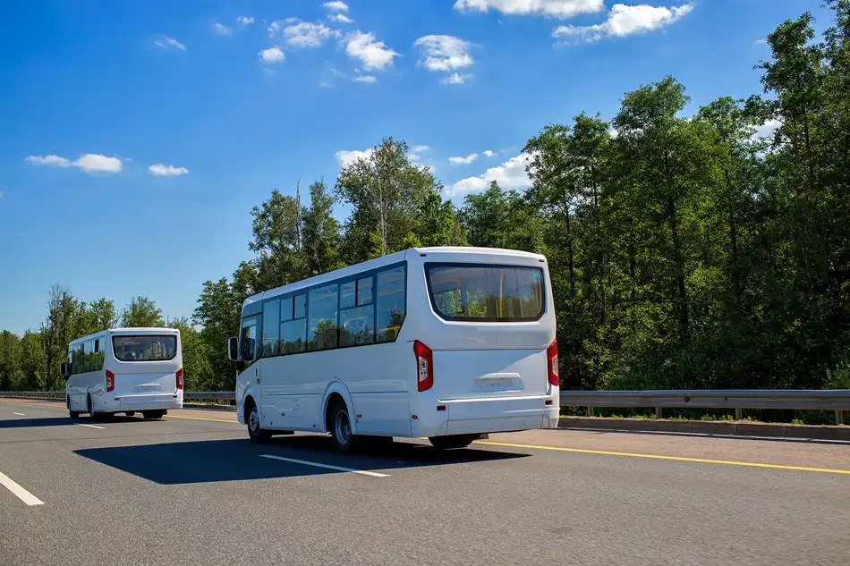 Mini Bus vs. Midsize Bus