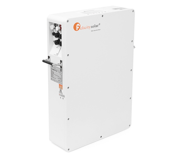 Акумуляторна батарея FelicityESS LPBA48100-OL 51.2V 100Ah для СЕС