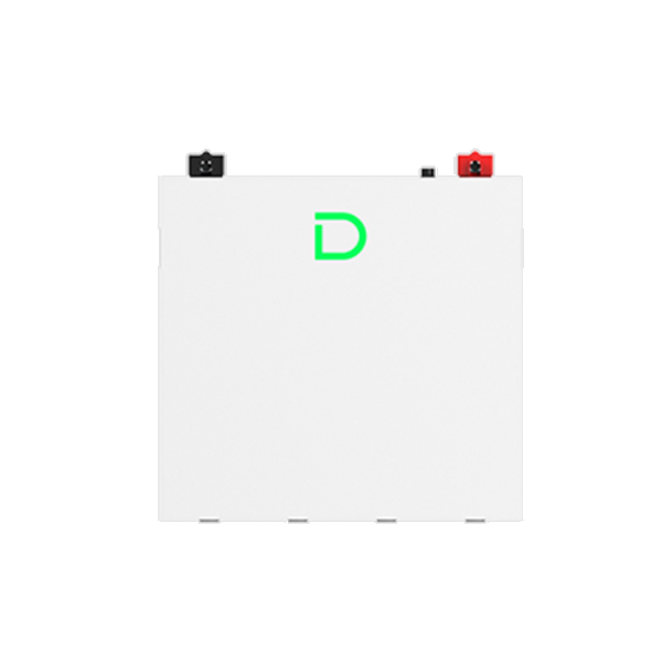 Акумуляторна батарея Dyness DL5.0C Pro LiFePO4 51.2V 100Ah 5.12kWh з підігрівом