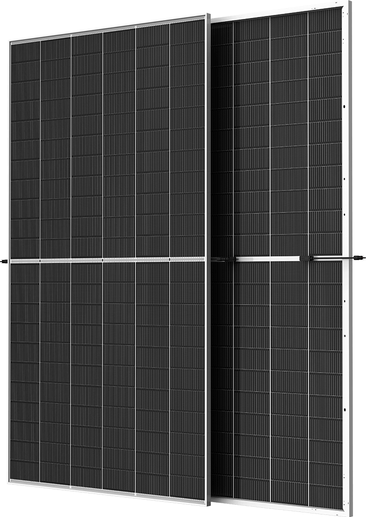 Trina Solar TSM-NEG19RC.20 615W N-type Bifacial Datasheet