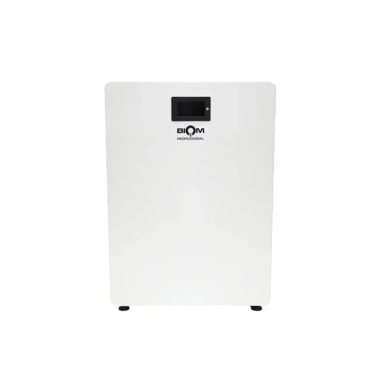 Акумуляторна батарея Biom Professional BALFP-512100-V1 5.12kWh LiFePO4 51.2V 100Ah