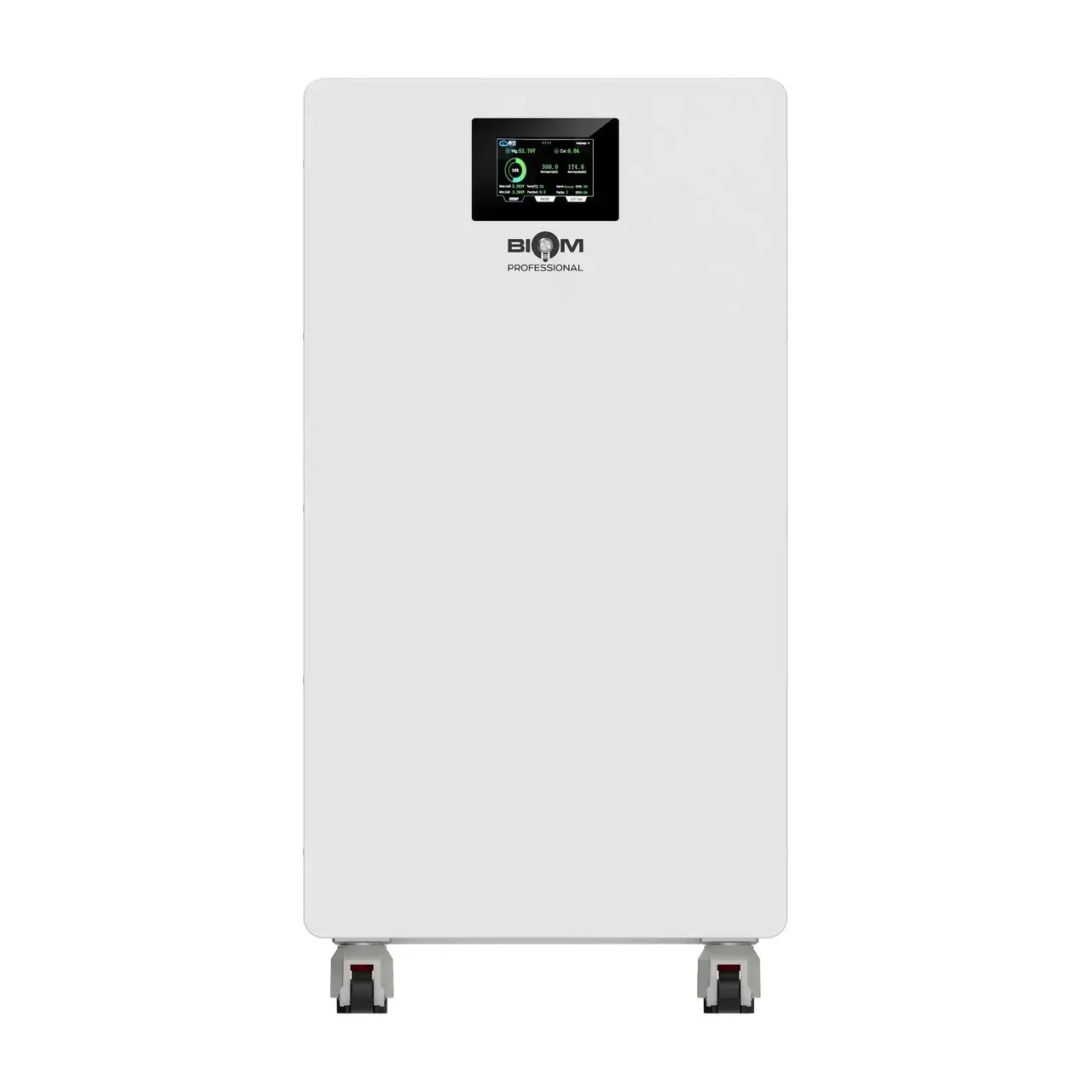 Акумуляторна батарея Biom Professional BALFP-512314-V2 16kWh LiFePO4 51.2V 314Ah