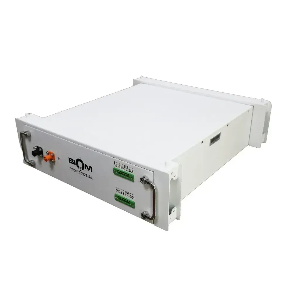 Акумуляторна батарея Biom Professional BAHV-100512-LFP 5.12kWh LiFePO4 51.2V 100Ah