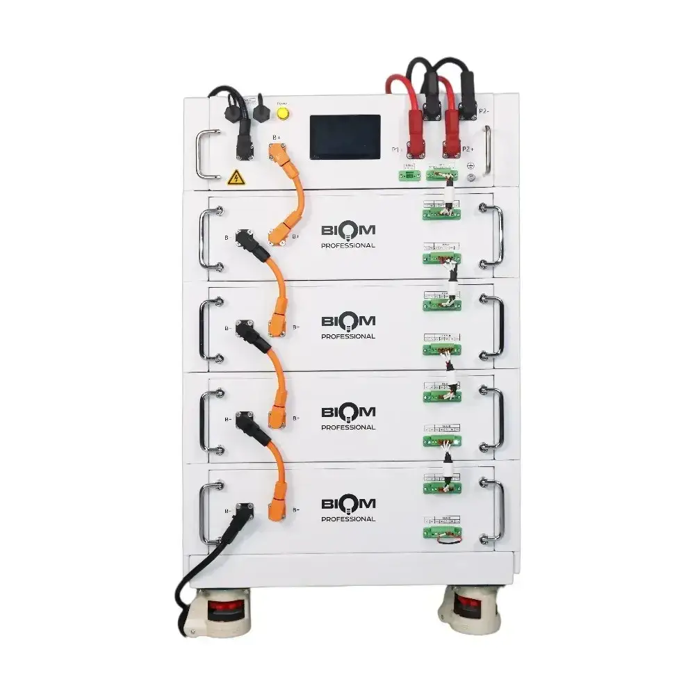 Акційна ціна на акумулятор Biom Professional BAHV-100512-LFP | ConnectCodi