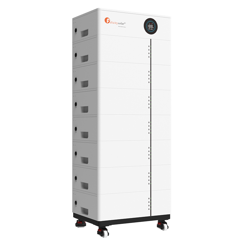 Fls48100sg2