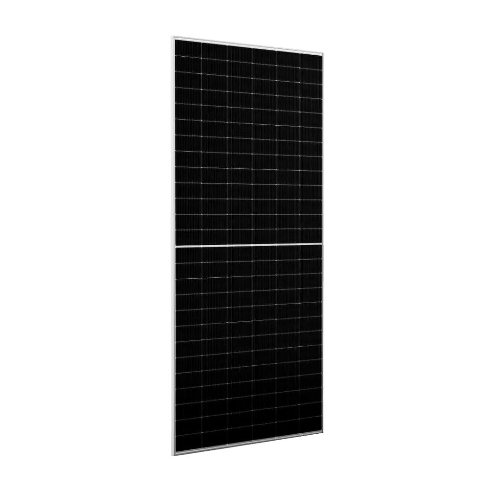 Risen RSM156-9-635BNDG 635W Bifacial N-Type TOPCon Dual Glass