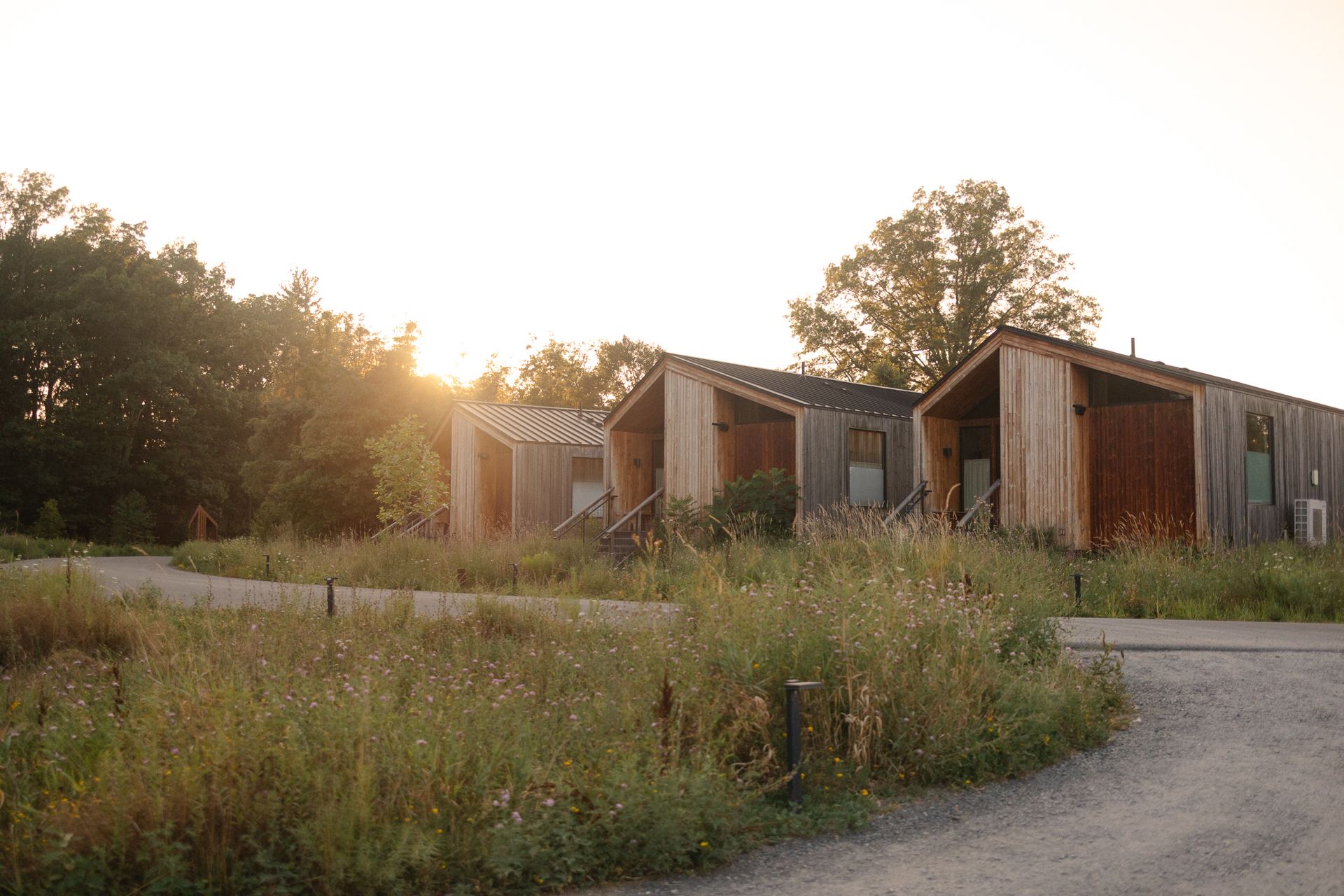 Wildflower Farms venue buildings in a meadow at golden hour