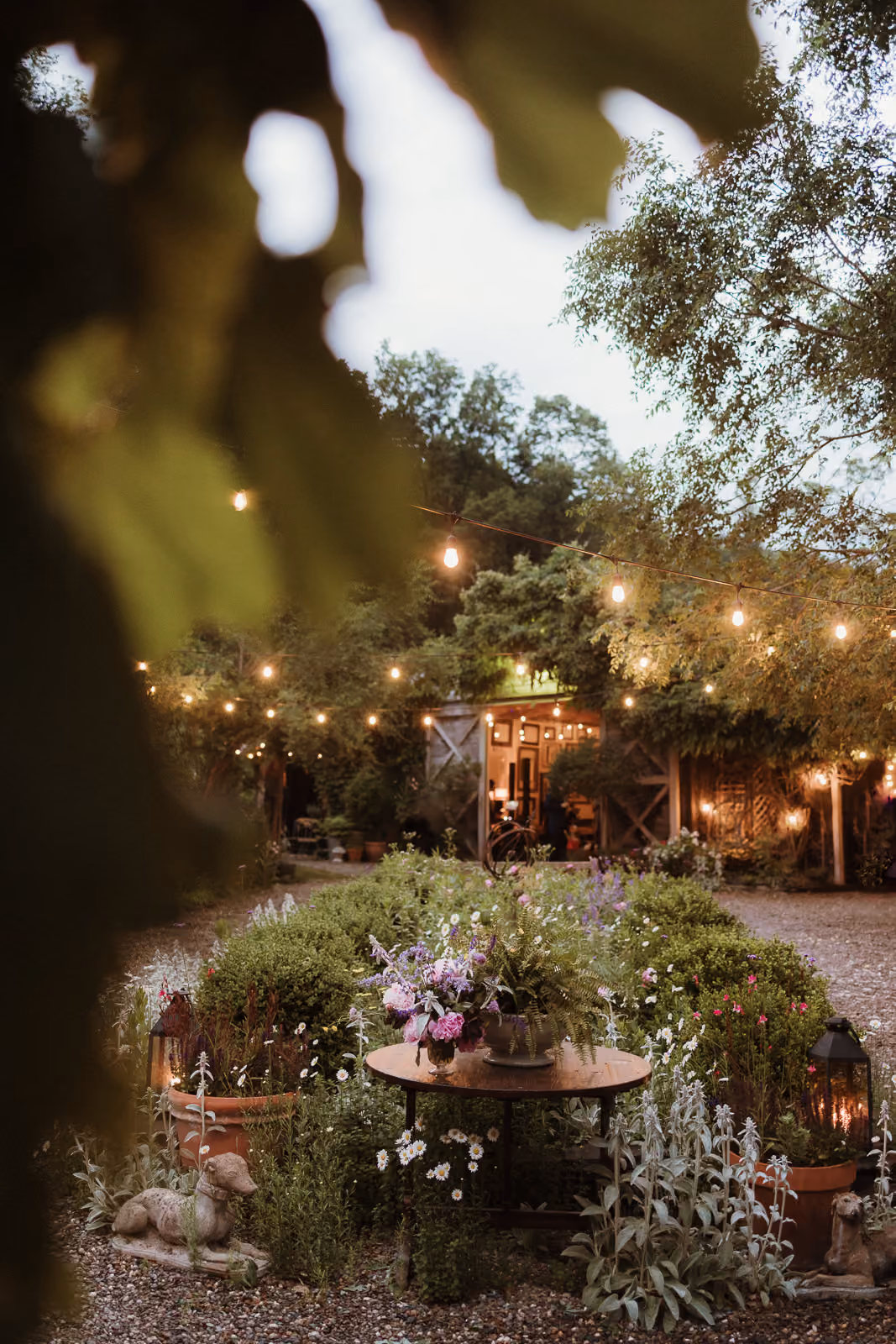 Garden reception courtyard under string lights at dusk at M and D Farm