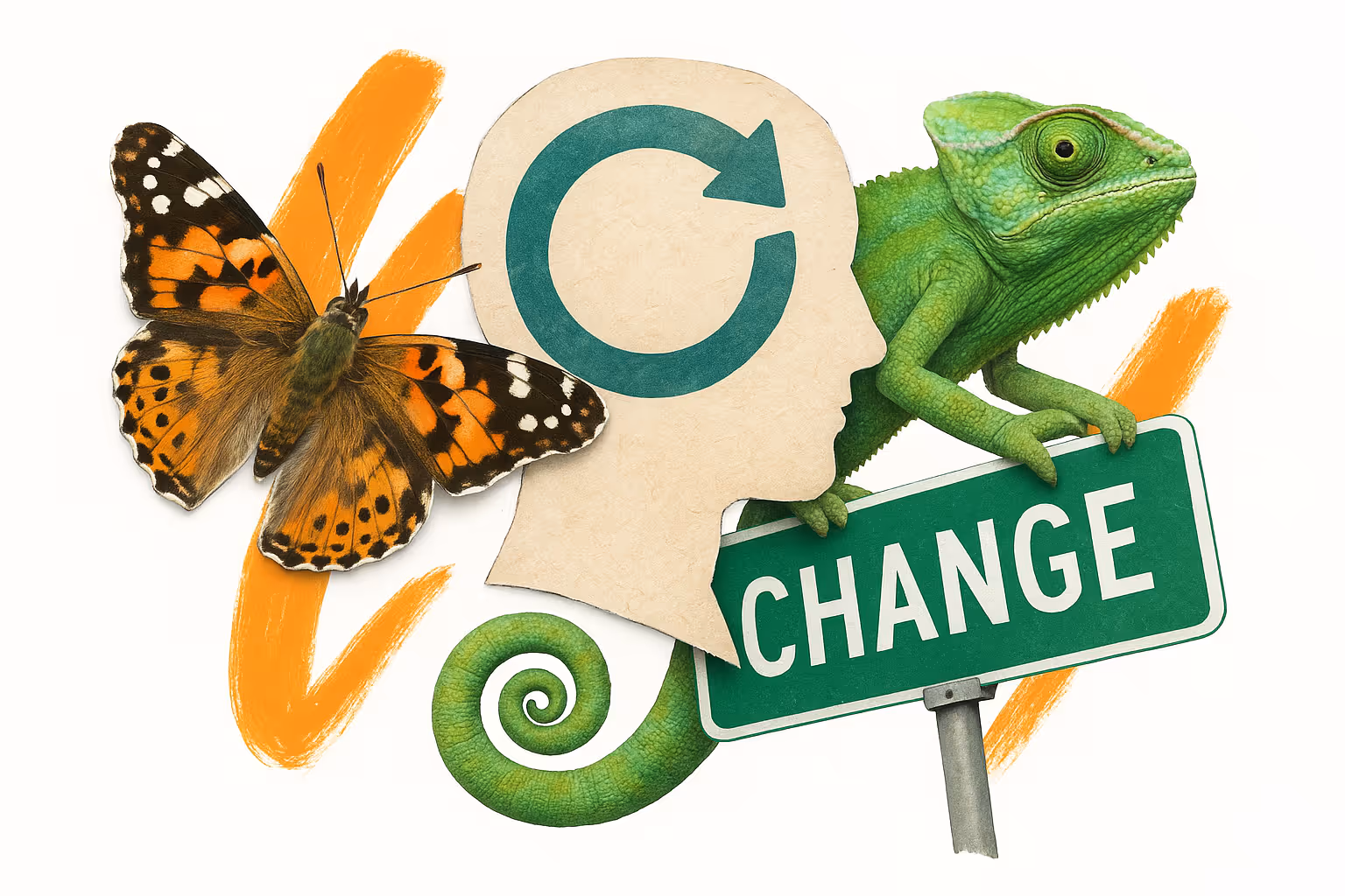 Guide pratique pour développer son optimisme face aux changements en entreprise