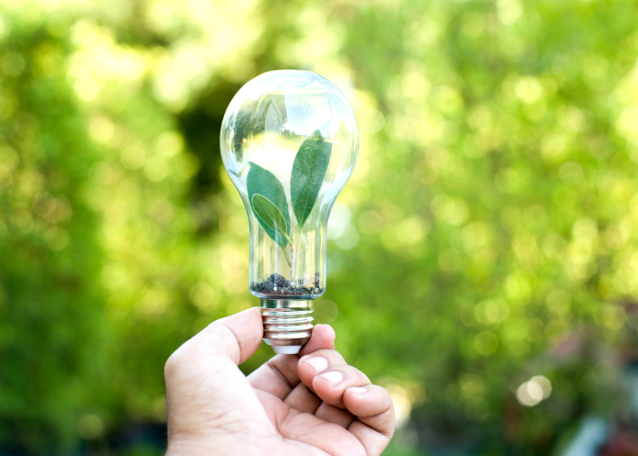 a hand holding a light bulb with leaves inside representing energy cost saving while being environmentally conscious