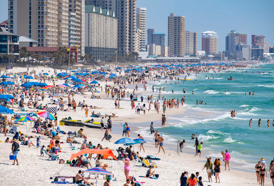 Dental team and doctors