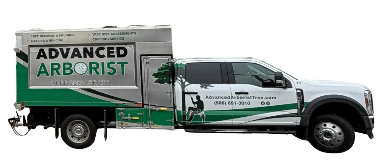 Advanced Arborist Tree Service Ltd. truck featuring tree removal, pruning, cabling, bracing, and chipping services in Saint John, NB