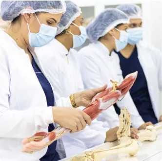 estudiantes de medicina observando la musculatura de un brazo