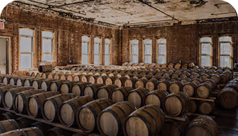 Large room filled with rows of wooden barrels under a rustic ceiling and windows.